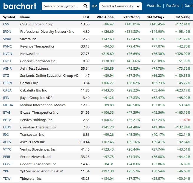Top Performing Stocks.