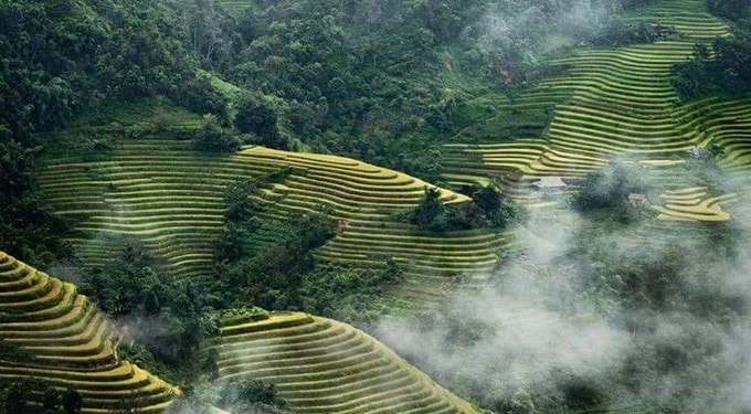 Rice Fields Philippines