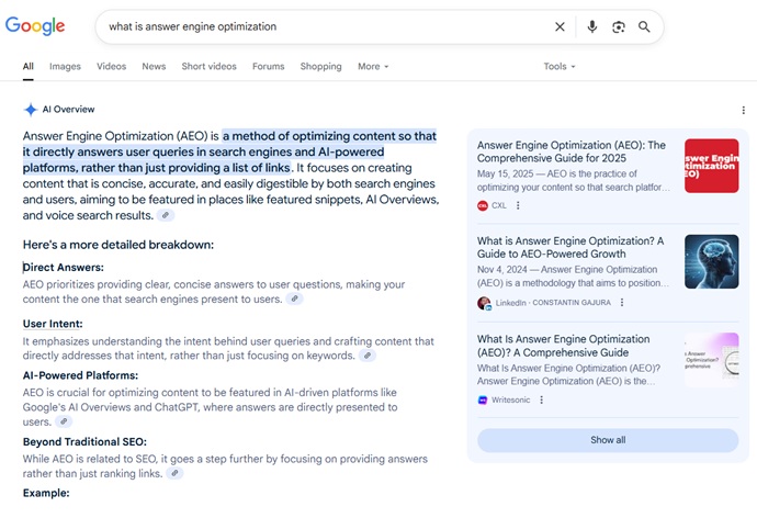 Google AI Overviews.
