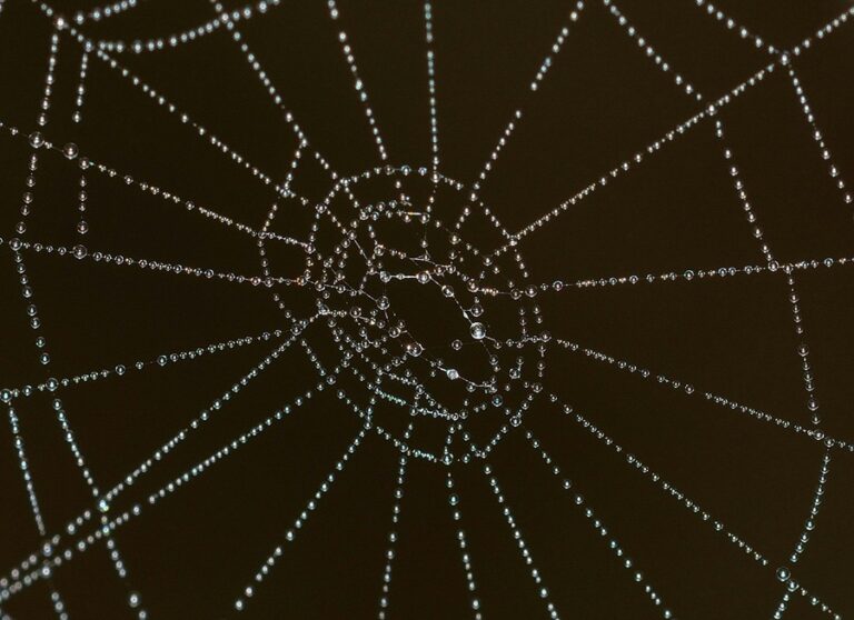Power Up Your SEO with Internal Linking Optimization