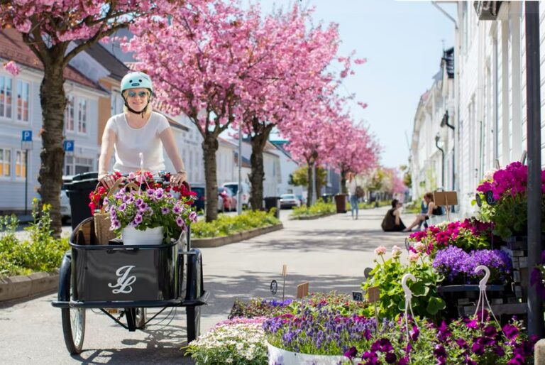 Why Norwegians Are Rich and Canadians Aren’t